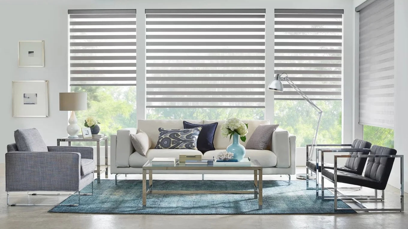 zebra dual shades
